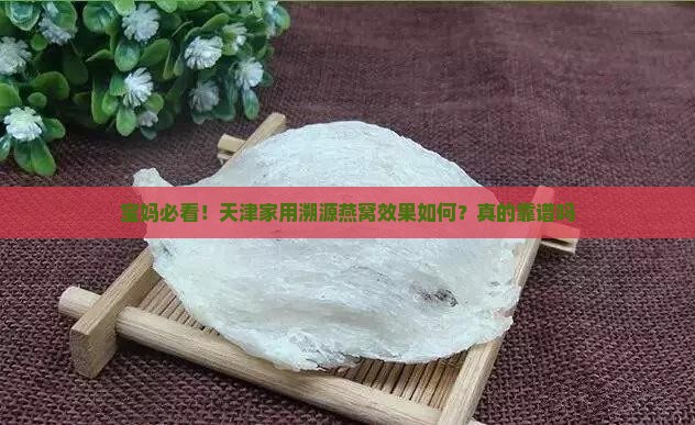 天津家用溯源燕窝怎么样