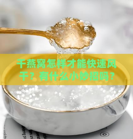 干燕窝怎么风干快一些呢