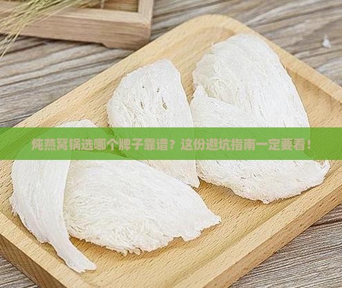 炖燕窝锅哪个牌子信得过