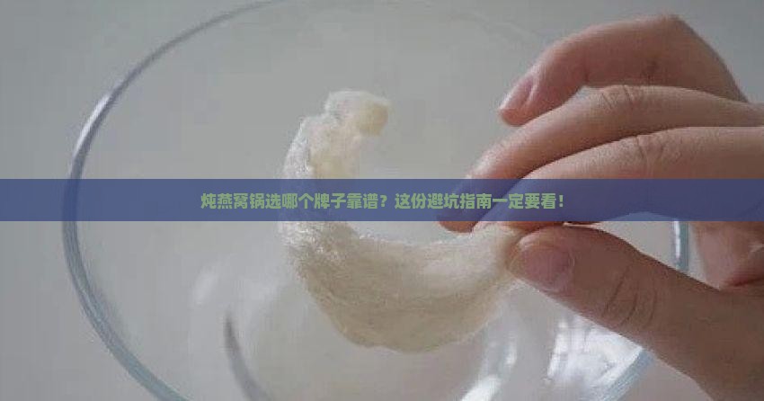 炖燕窝锅哪个牌子信得过