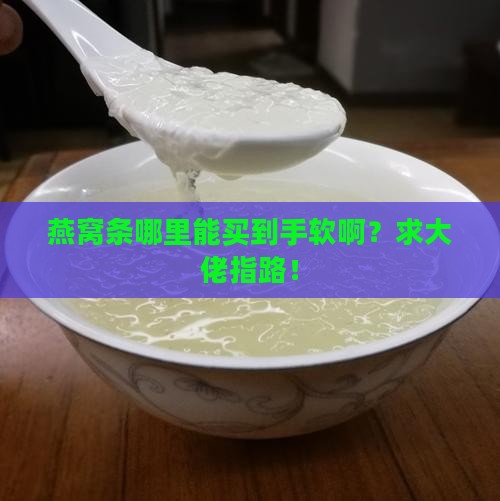 燕窝条哪里去买的多啊