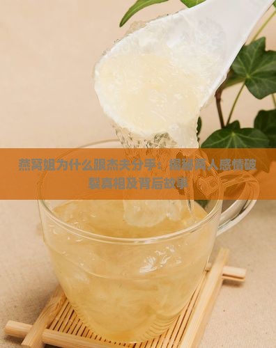 燕窝姐为什么跟杰夫分手