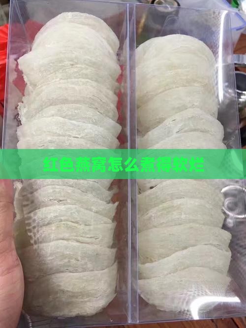 红色燕窝怎么煮的软烂