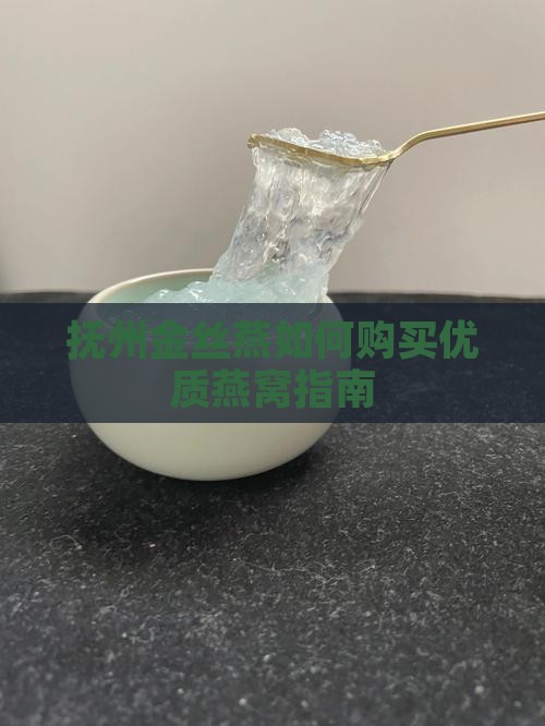 抚州金丝燕燕窝怎么买