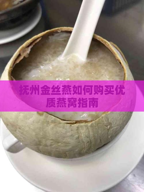 抚州金丝燕燕窝怎么买