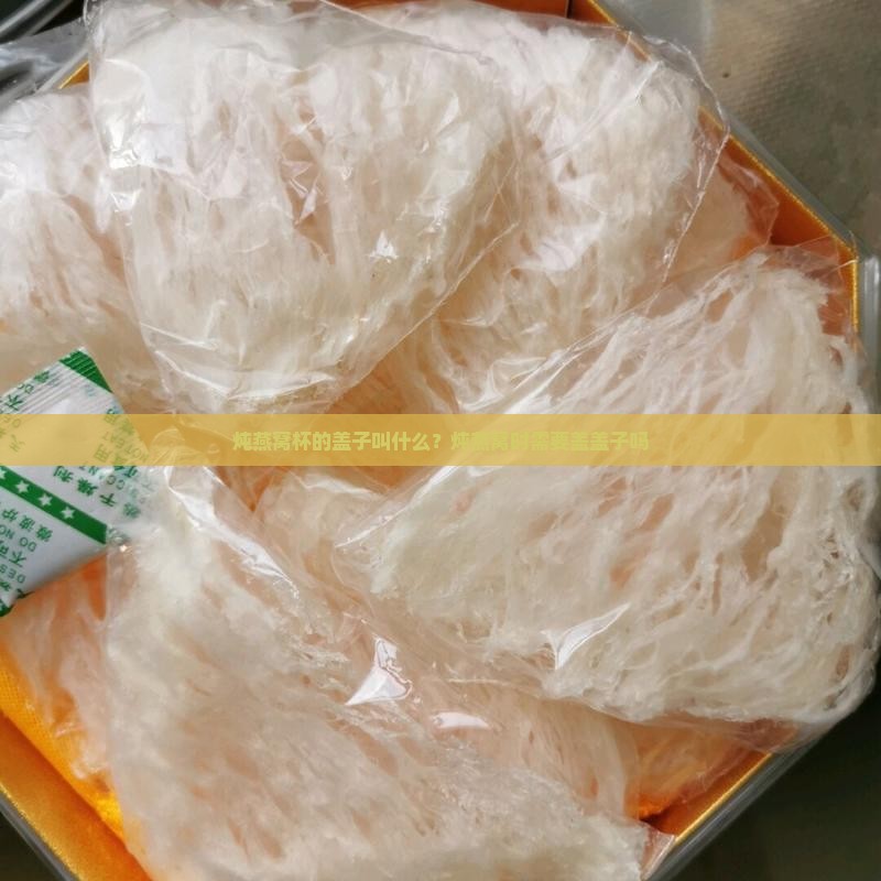 炖燕窝杯的盖子叫什么 炖燕窝杯的盖子叫什么