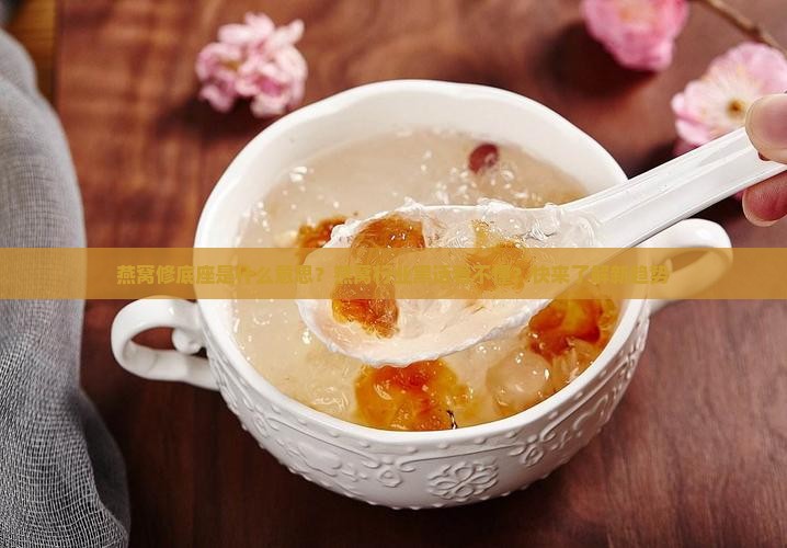 燕窝修底座是什么意思