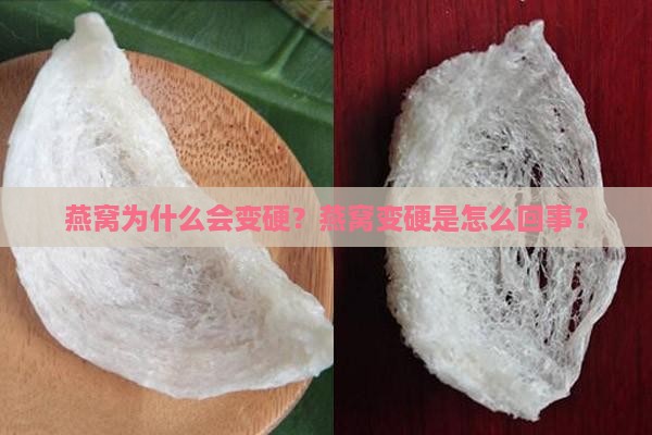 燕窝白的发硬的怎么回事