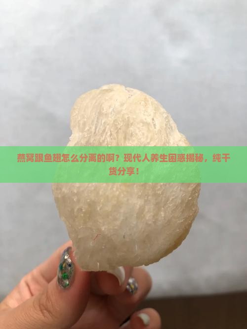 燕窝跟鱼翅怎么分离的啊