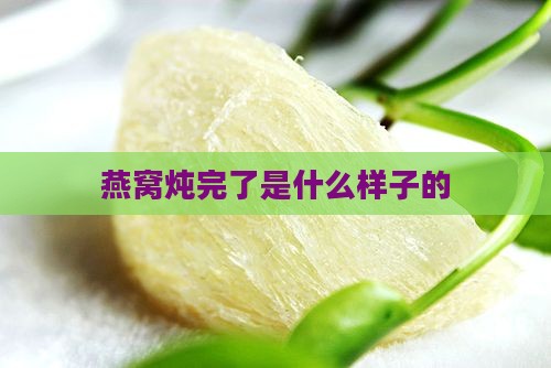 燕窝炖完了长什么样子啊