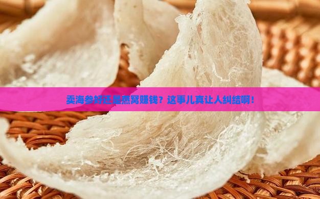 卖海参和燕窝哪个赚钱些