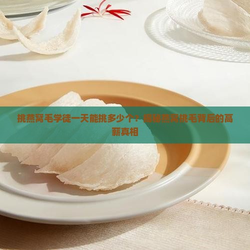 挑燕窝毛学徒一天能挑多少个