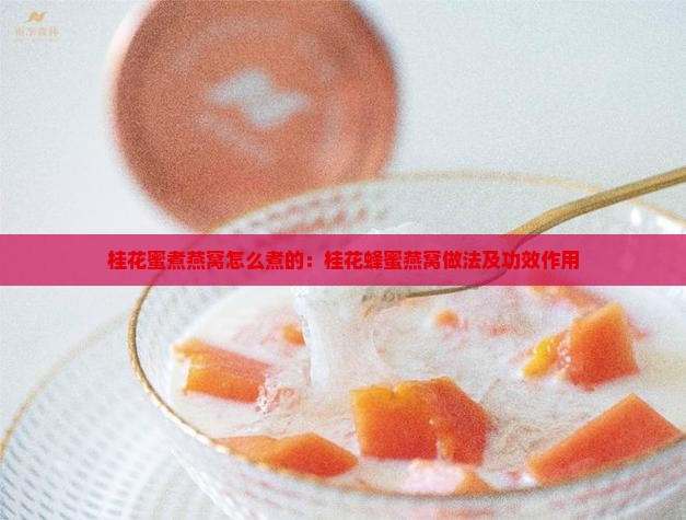桂花蜜煮燕窝怎么煮的