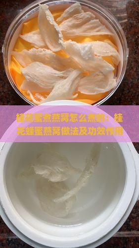 桂花蜜煮燕窝怎么煮的