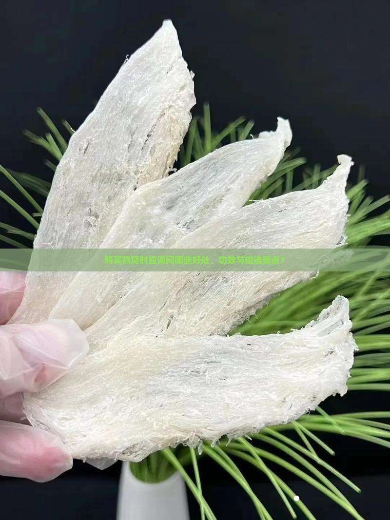 买燕窝需要问什么好处