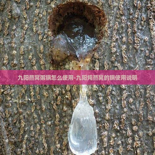 九阳燕窝粥锅怎么使用