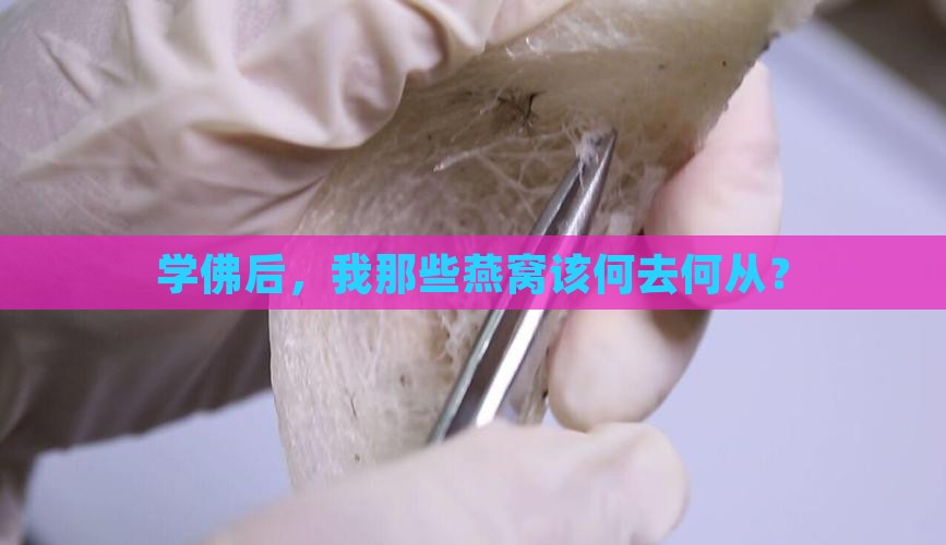 学佛之后燕窝怎么处理