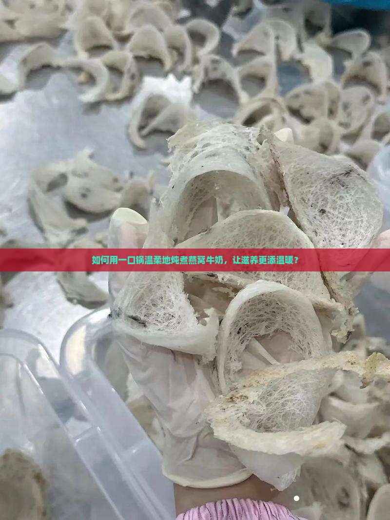 燕窝牛奶用什么锅煮好