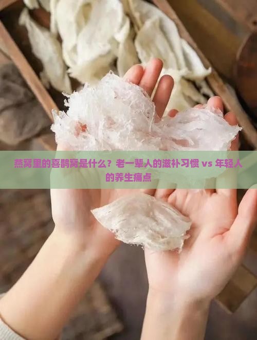 燕窝里的喜鹊窝是什么