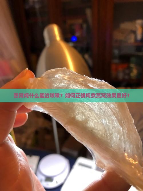 燕窝炖什么是治咳嗽的