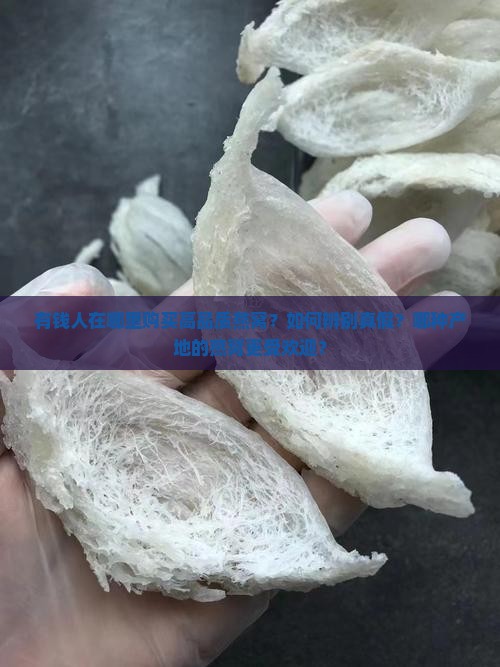 有钱人在哪里买燕窝呢