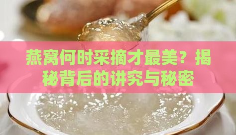 燕窝什么时候采摘最好
