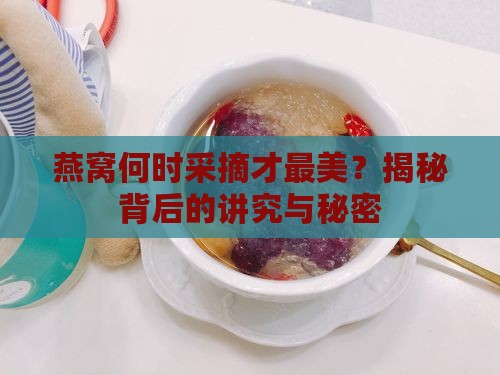 燕窝什么时候采摘最好