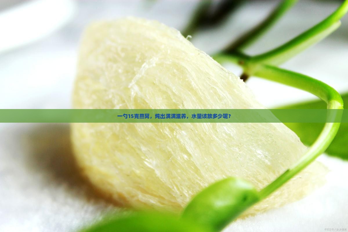 15g燕窝可以炖多少水