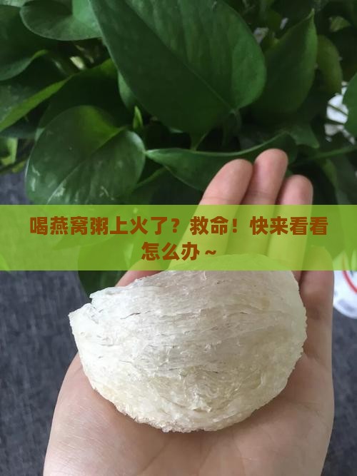 喝燕窝粥上火怎么办呢
