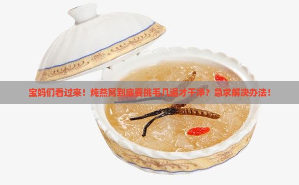 燕窝需要挑毛到什么程度