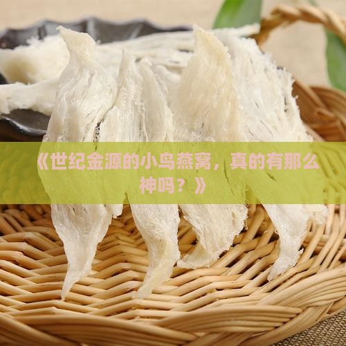 世纪金源小鸟燕窝怎么样