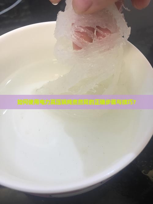 电力高压锅怎么炖燕窝