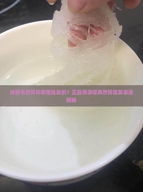 成都毛燕窝在哪里批发的