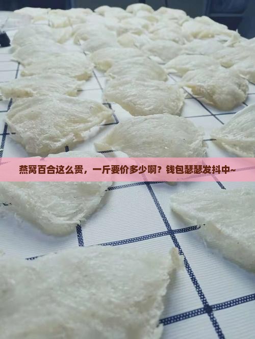 燕窝百合多少钱一斤啊