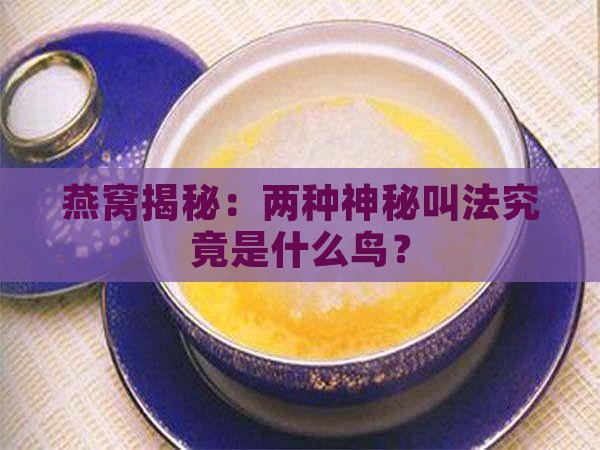燕窝两种叫法是什么鸟