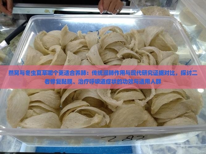 燕窝与虫草哪个养肺好点