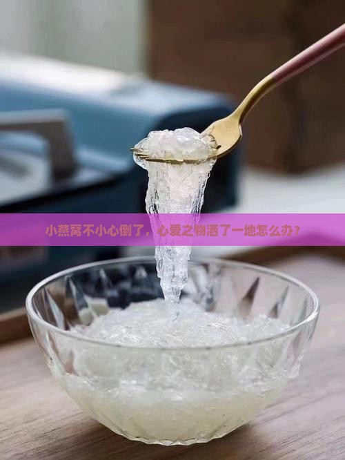 小燕窝自己倒了怎么办