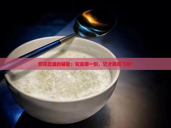 燕窝什么时候是疏盏的