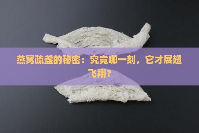 燕窝什么时候是疏盏的