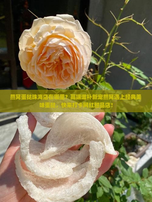燕窝蛋挞珠海店在哪里的
