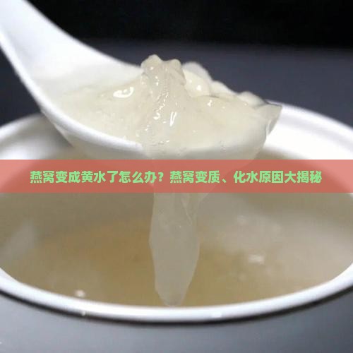 燕窝变成黄水了怎么办