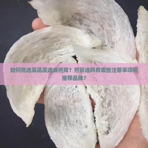 速食燕窝品质如何选购好
