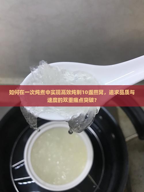 一次炖10盏燕窝多少
