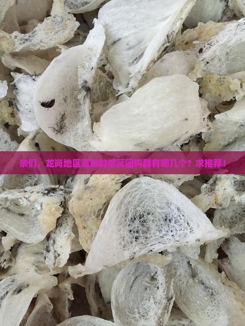 龙岗燕窝团购群有哪些