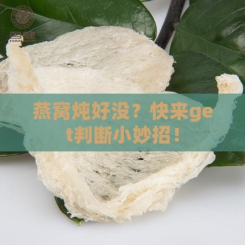 如何看燕窝炖熟了没有
