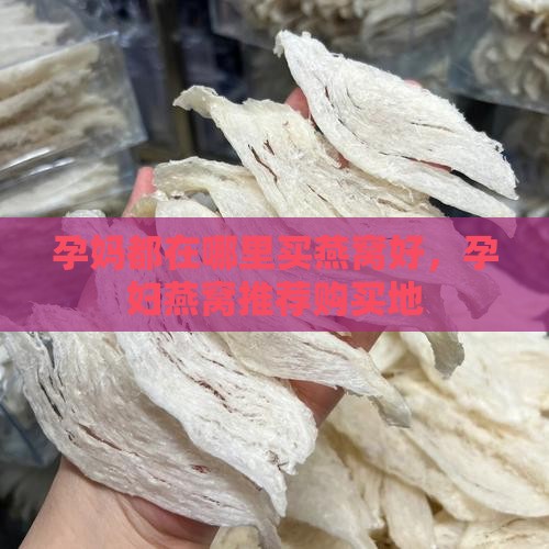 孕妈都在哪里买燕窝好