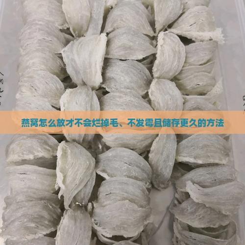燕窝怎么放才不会烂掉毛