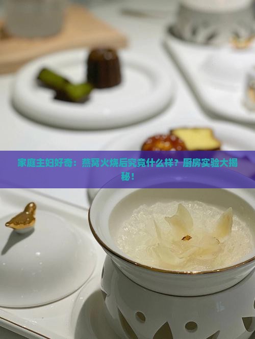 燕窝火烧后是什么样的
