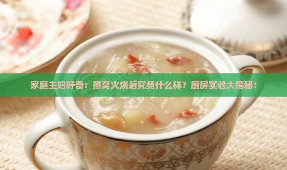 燕窝火烧后是什么样的