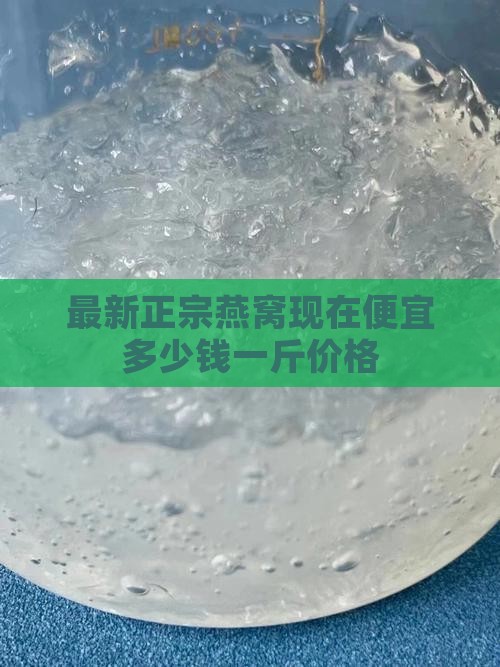 燕窝现在便宜多少钱一斤